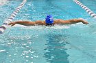 Swimming vs Bentley  Wheaton College Swimming vs Bentley. - Photo By: KEITH NORDSTROM : Wheaton, Swimming, Bentley